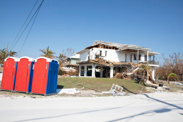 Professional Tree Removal in Eagle, NE